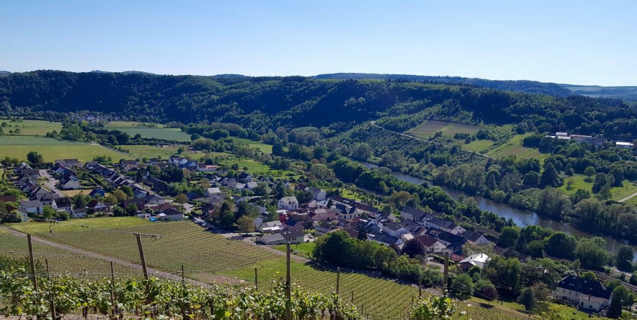 Zur Alten Rebe Ferienhaus Und Weingut Konz Exterior photo