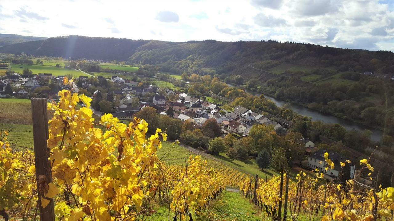 Zur Alten Rebe Ferienhaus Und Weingut Konz Exterior photo