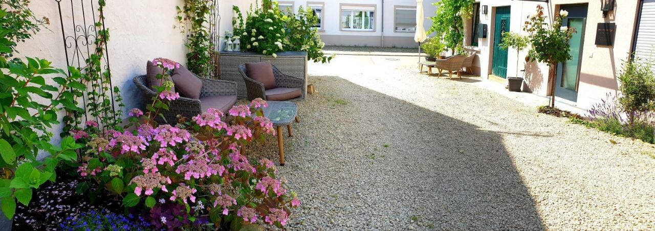 Zur Alten Rebe Ferienhaus Und Weingut Konz Exterior photo