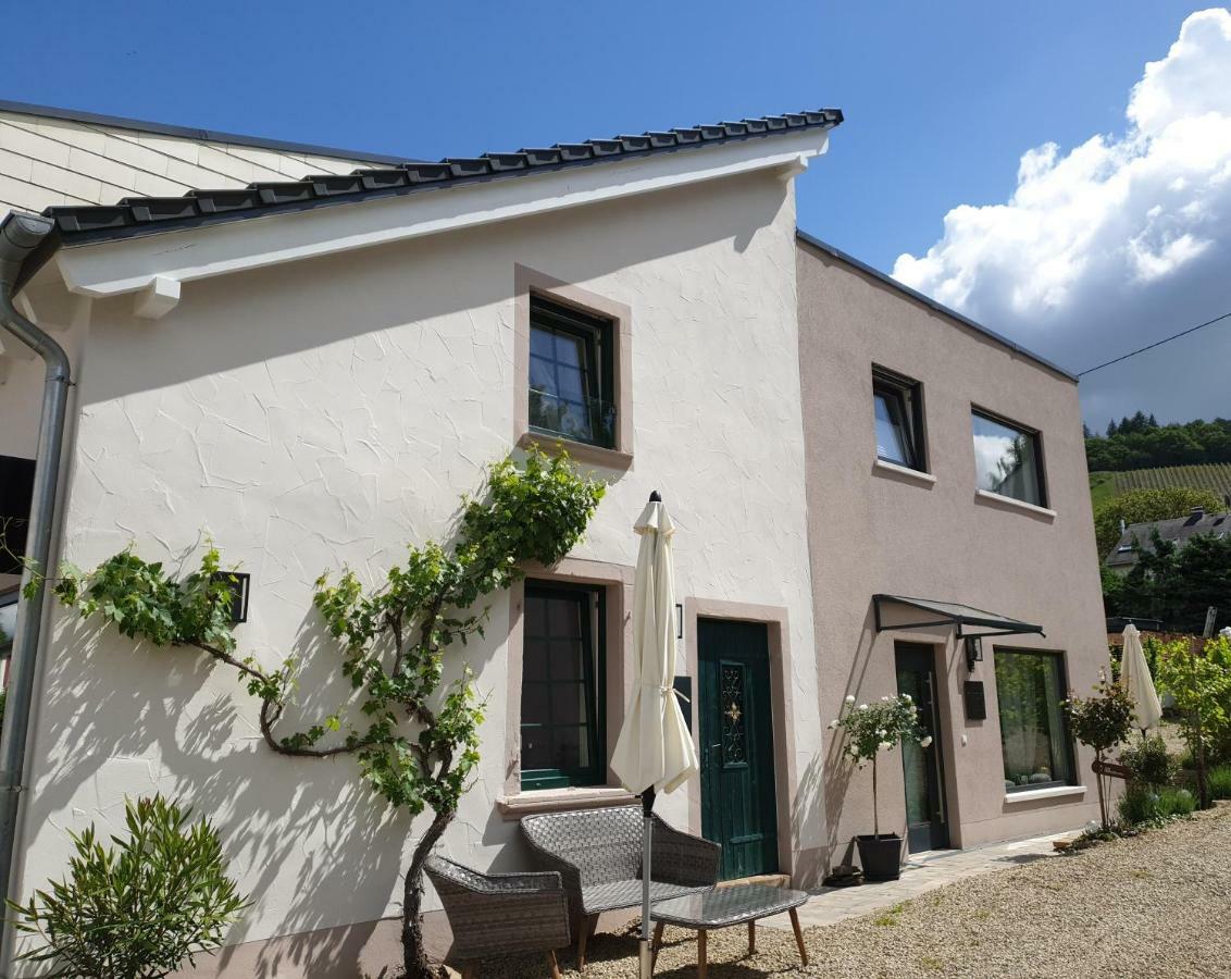 Zur Alten Rebe Ferienhaus Und Weingut Konz Exterior photo