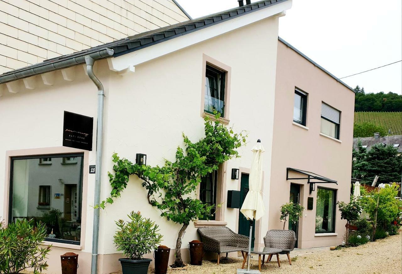 Zur Alten Rebe Ferienhaus Und Weingut Konz Exterior photo